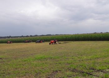 Happen & Stappen tijdens de Avond4Daagse nijkamp avond4daagse holten avond4daagse 