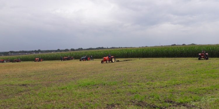 Oogstdag nijkamp 