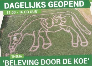 Jeugdcircus met wervelende show bij kinderboerderij Dondertman dondertman 