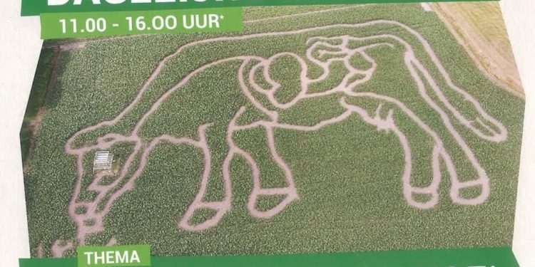 Dondertman maïsdoolhof opent vrijdagmiddag dondertman 