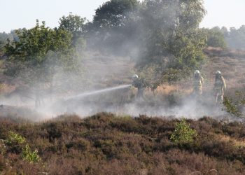 Heidebrand op de Sallandse Heuvelrug sallandse heuvelrug brandweer 