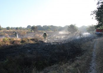 Heidebrand op de Sallandse Heuvelrug sallandse heuvelrug brandweer 