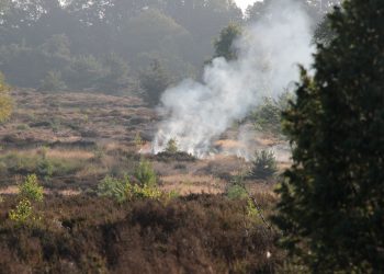 Heidebrand op de Sallandse Heuvelrug sallandse heuvelrug brandweer 