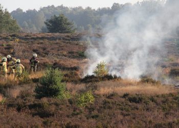 Heidebrand op de Sallandse Heuvelrug sallandse heuvelrug brandweer 