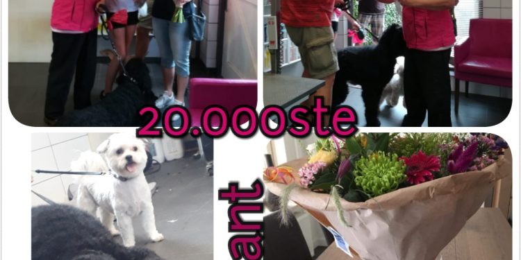 HoltensNieuws.nl 20.000ste (honden) klant 20.000ste (honden) klant