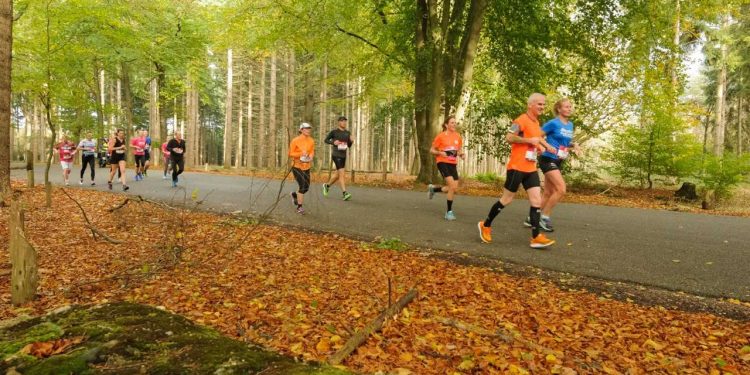 Diepe Hel Holterbergloop Inschrijfdatum verlengd sallandse heuvelrug 