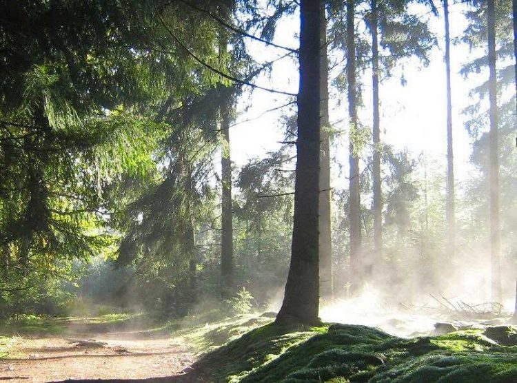 Herfstwandeling over de Holterberg 