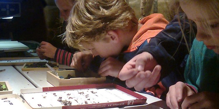 Uilendag bij Natuurmuseum Holterberg 