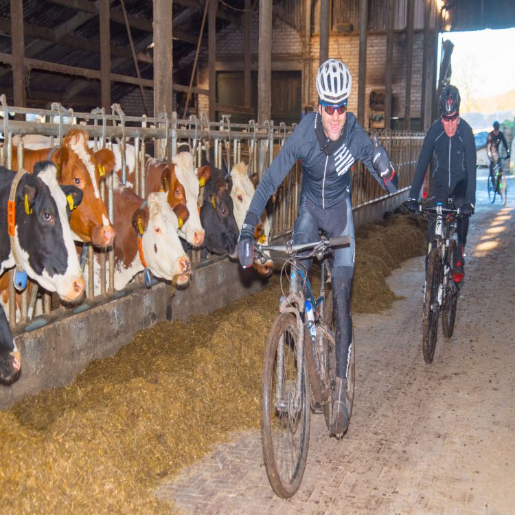 Geheel vernieuwde veldtoertocht wielervereniging sallandse heuvelrug 
