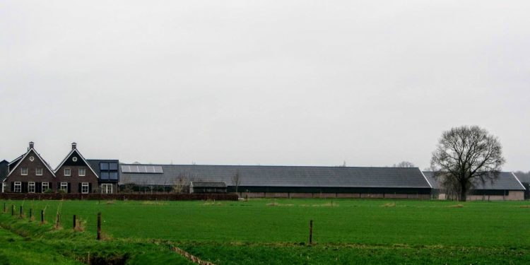 1.144 collectieve zonnepanelen op dak verduurzamen Holten 