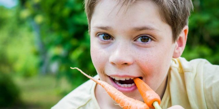 HoltensNieuws.nl Gratis groentezaad voor basisscholen en BSO’s uit Rijssen-Holten Gratis groentezaad voor basisscholen en BSO’s uit Rijssen-Holten