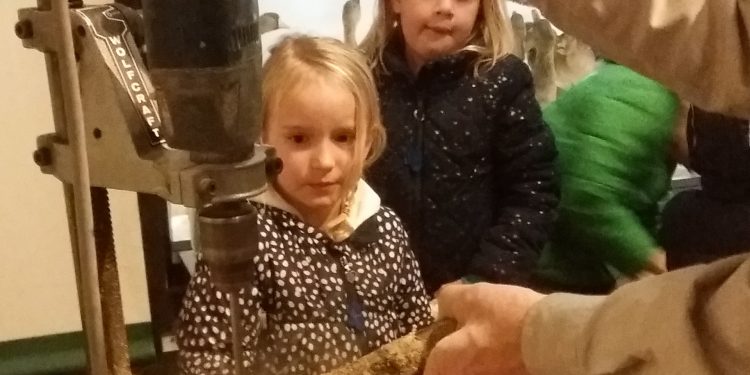 Zondag 10 februari Vogelvoederstammetjes en meer 