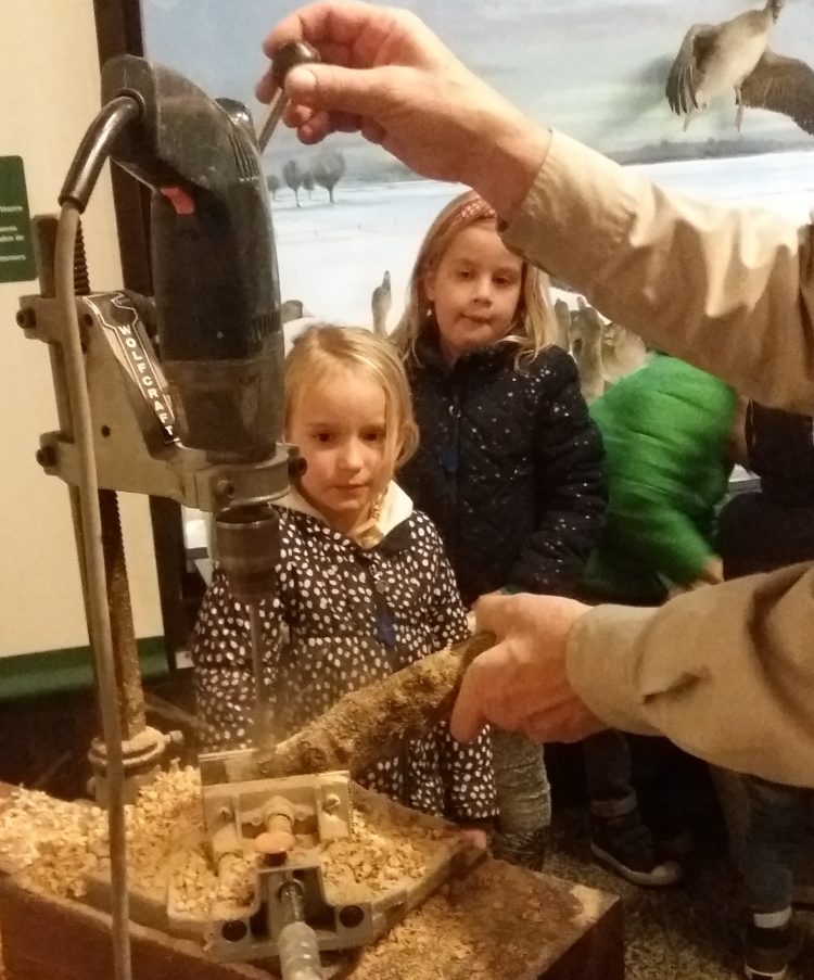 Zondag 10 februari Vogelvoederstammetjes en meer 