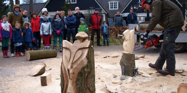 De dag van het bos 