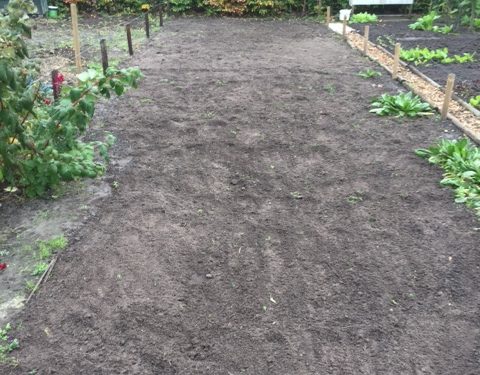 Je eigen groente verbouwen, het kan nog nl doet 