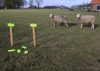 SGW Cross bij Snorrewind snorrewind 