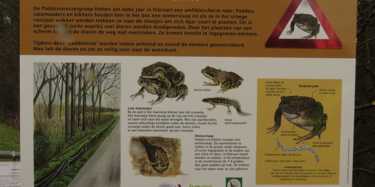 Informatiepaneel over paddentrek geplaatst aan Broekweg in Holten gemeente espelo 