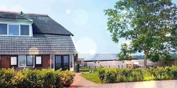 Opendag NoaLies Jubileum 