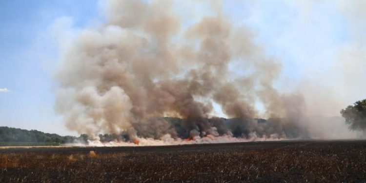 Kans op snellere uitbreiding brand in natuur paasvuur gemeente brandweer 