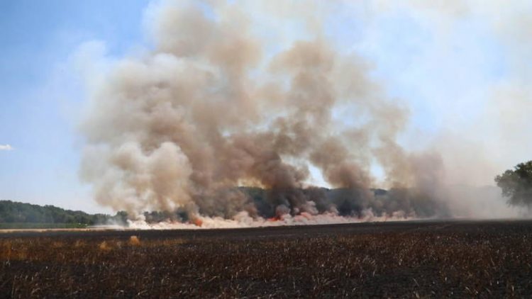 Kans op snellere uitbreiding brand in natuur paasvuur gemeente brandweer 