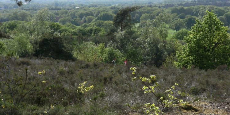 Dauwwandelen en ontbijt op de Holterberg natuurdiorama 