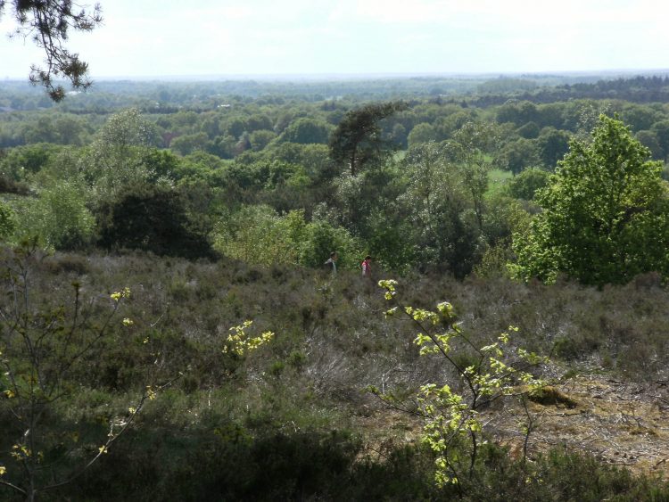 Dauwwandelen en ontbijt op de Holterberg natuurdiorama 