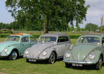 Korenfestival 2019 smidsbelt daglicht 