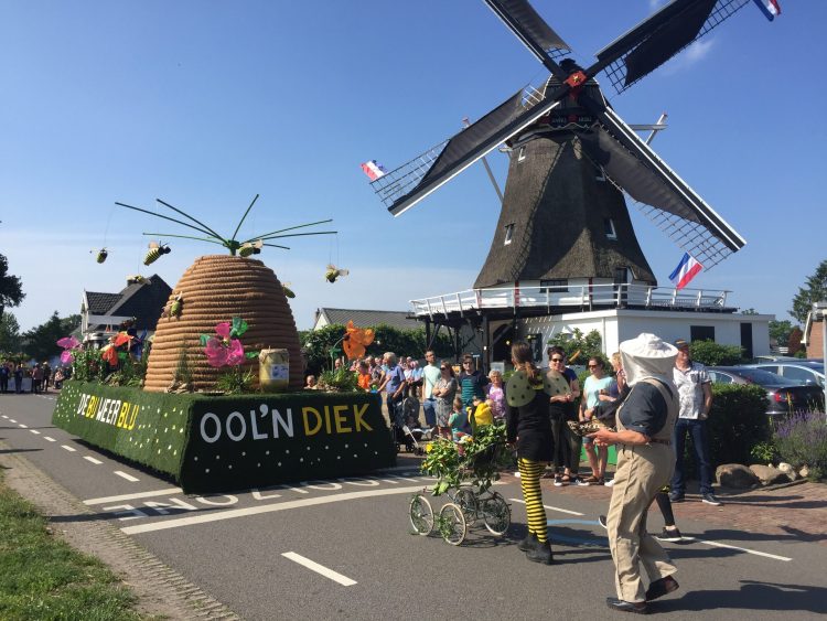 Ool'n Diek wint optocht Dijkerhoeksfeest - De bij weer blij! dijkerhoeksfeest dijkerhoek bonte paard 