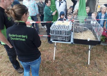 Jeugdcircus met wervelende show bij kinderboerderij Dondertman dondertman 