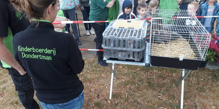 Vinylgroep Köllingserf schenkt pluimvee ism kinderboerderij Dondertman. haarschool dondertman 