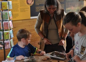 Laatste zomerse zondag 2019 keuntje keuntje 