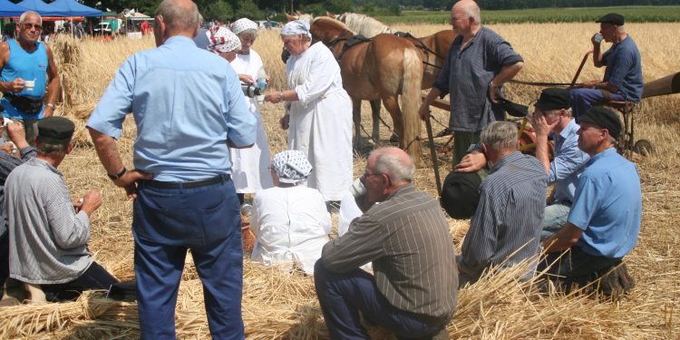Oogstdag 2019 Holten gemeente 