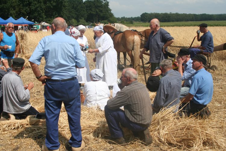 Oogstdag 2019 Holten gemeente 