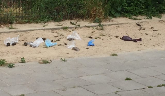 HoltensNieuws.nl Uitslag enquete hondentoiletten Uitslag enquete hondentoiletten gemeente