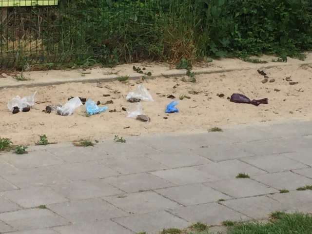 Uitslag enquete hondentoiletten gemeente 