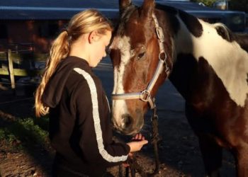 Kennismaken met de paardensport snorrewind 