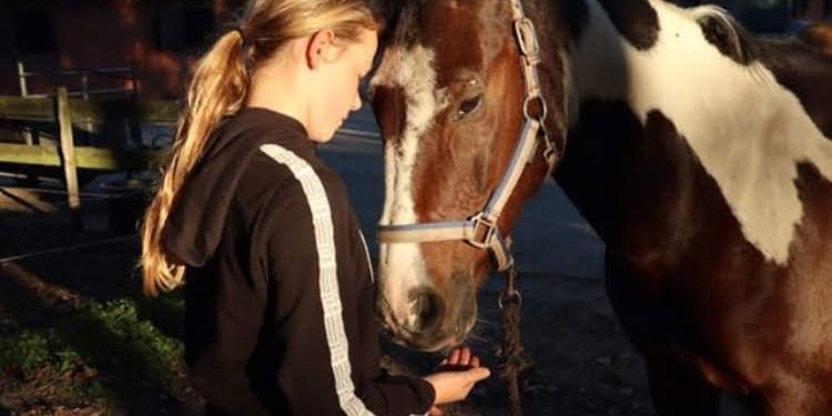 Kennismaken met de paardensport snorrewind 