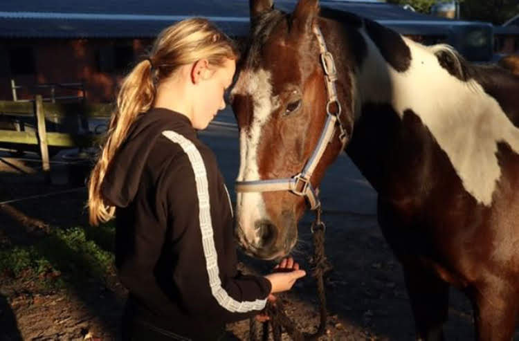 Kennismaken met de paardensport snorrewind 