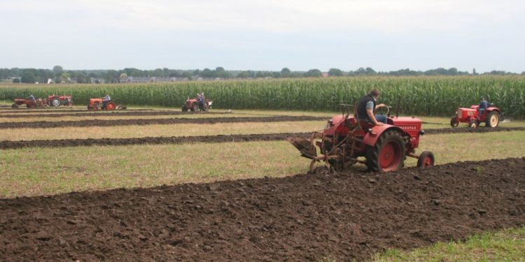 Afgelast: Ploegdemonstratie met oude tractoren 