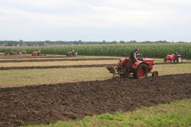 Afgelast: Ploegdemonstratie met oude tractoren 