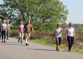 Open dag Liezenboerderij viavie welzijn liezenboerderij gemeente 