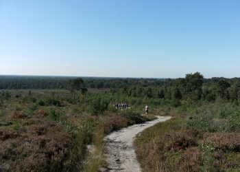 Dikke Steen op eindbestemming gemeente 