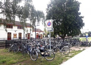 Fietsoverlast station 