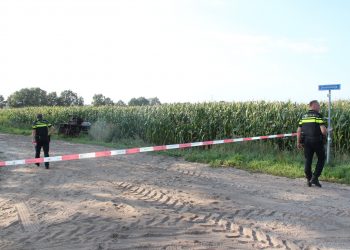 Paard slaat op hol, drie gewonden brandweer 