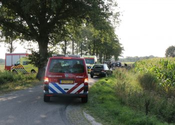 Paard slaat op hol, drie gewonden brandweer 