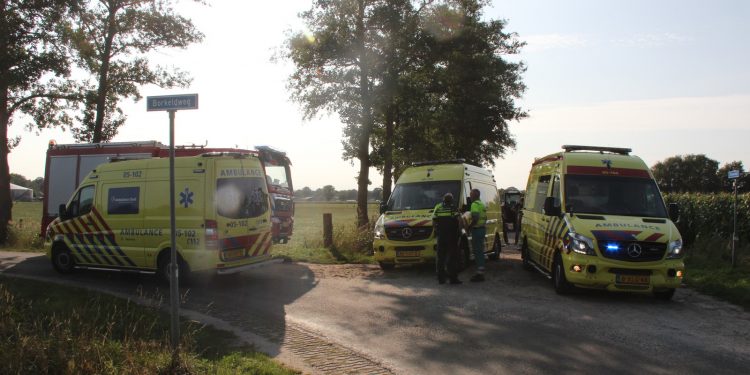 Paard slaat op hol, drie gewonden brandweer 