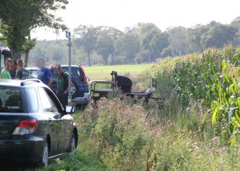 Paard slaat op hol, drie gewonden brandweer 