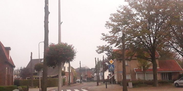 Bomen verwijderd Larenseweg 