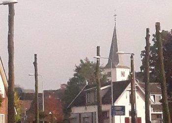 Bomen verwijderd Larenseweg 