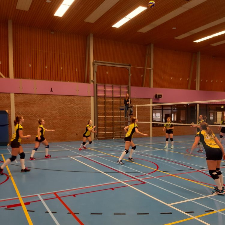 Volleybaldames 3 pakken de 5 punten in Eibergen mintonette 